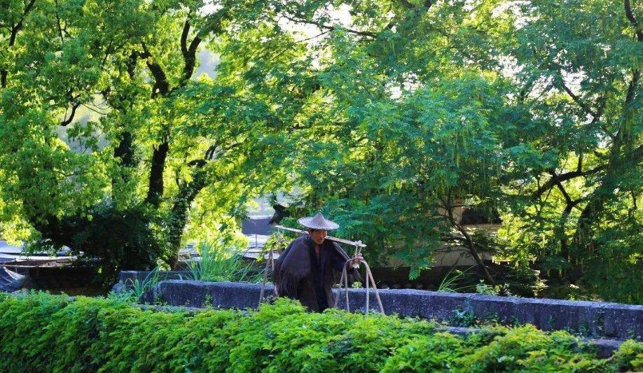 燃烧吧大脑免广告最新版